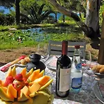 Capo Sud Лакона