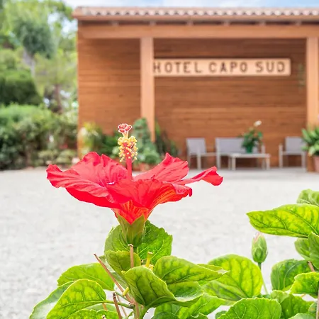 فندق Capo Sud لاكونا
